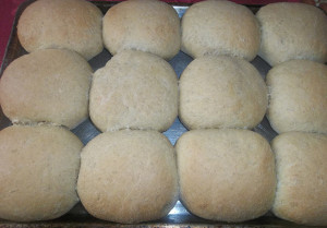 Hamburger buns 2