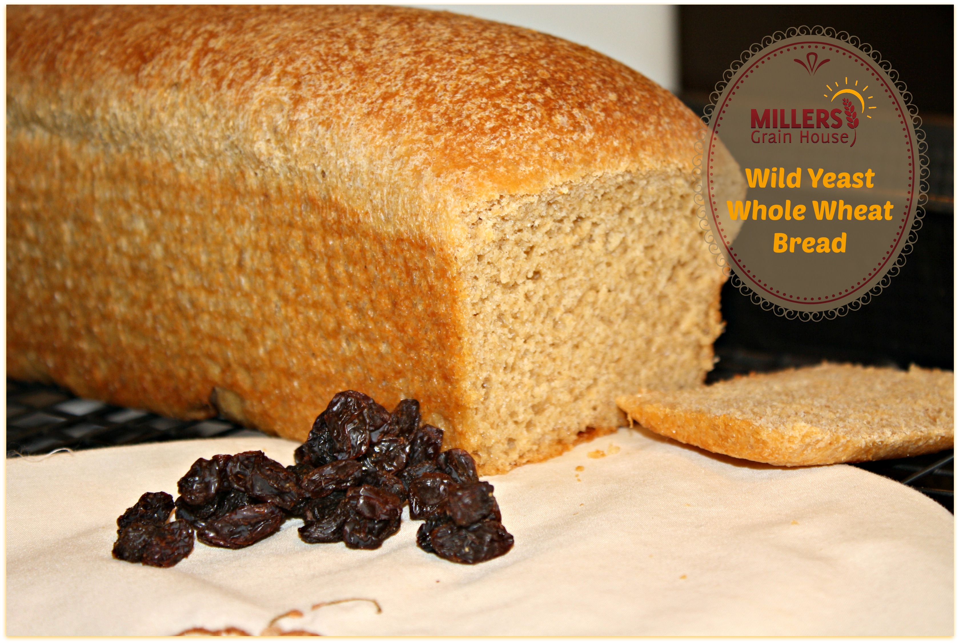 No yeast? No problem! Go Wild! Whole Wheat Bread with Wild Yeast