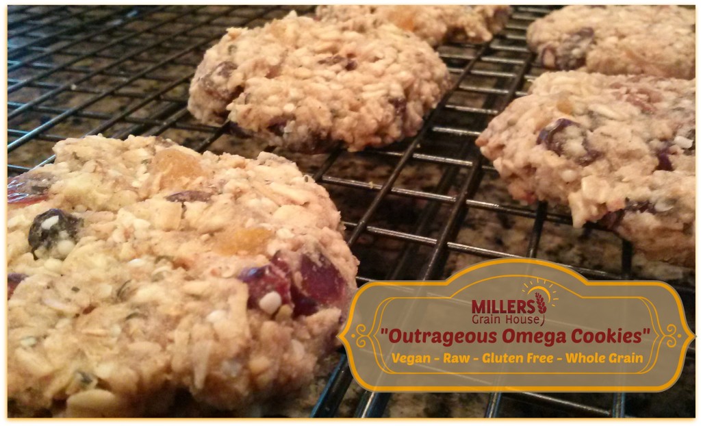 Outrageous Omega Cookies