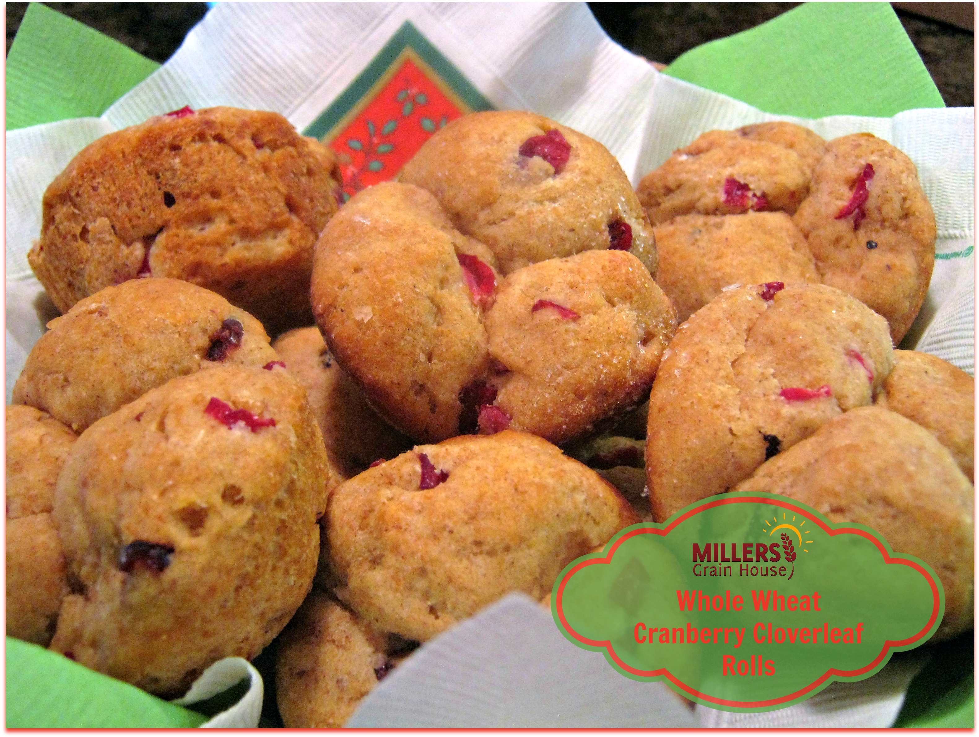 No Knead Cranberry Cloverleaf Rolls